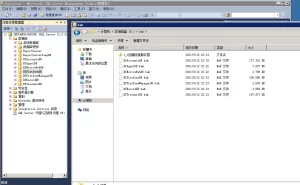 网狐微星系列亚游二开万威娱乐搭建图文教程-楼兰源码_免费源码分享网