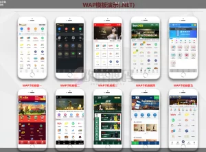 NG游戏接口厂商多版前端NET版本综合盘系统源码|教程-楼兰源码_免费源码分享网