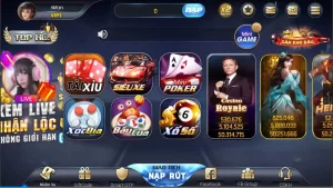 971越南语电玩平台源码 附搭建视频教程-楼兰源码_免费源码分享网